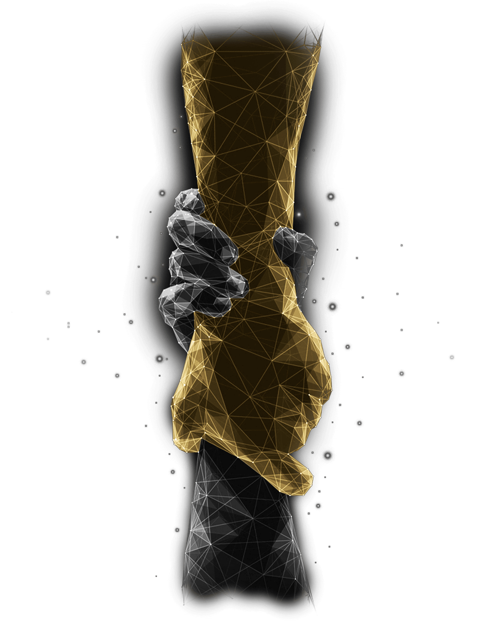 Descripción de la imagen